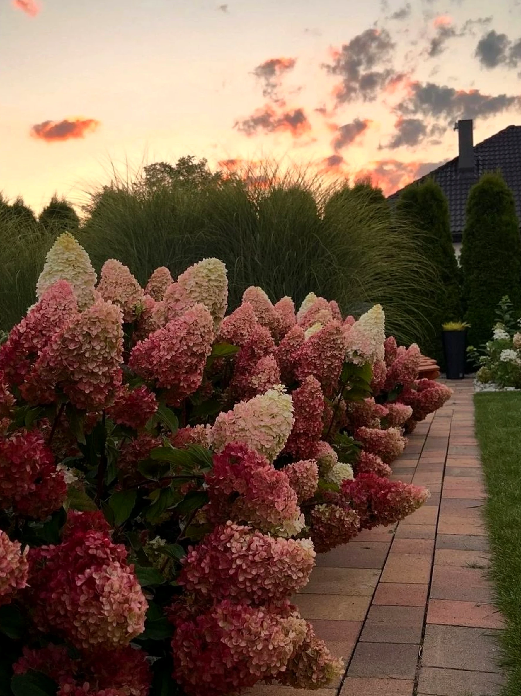 Balanced stone terrace introduces movement into the design, keeping the atmosphere open and lived-in.