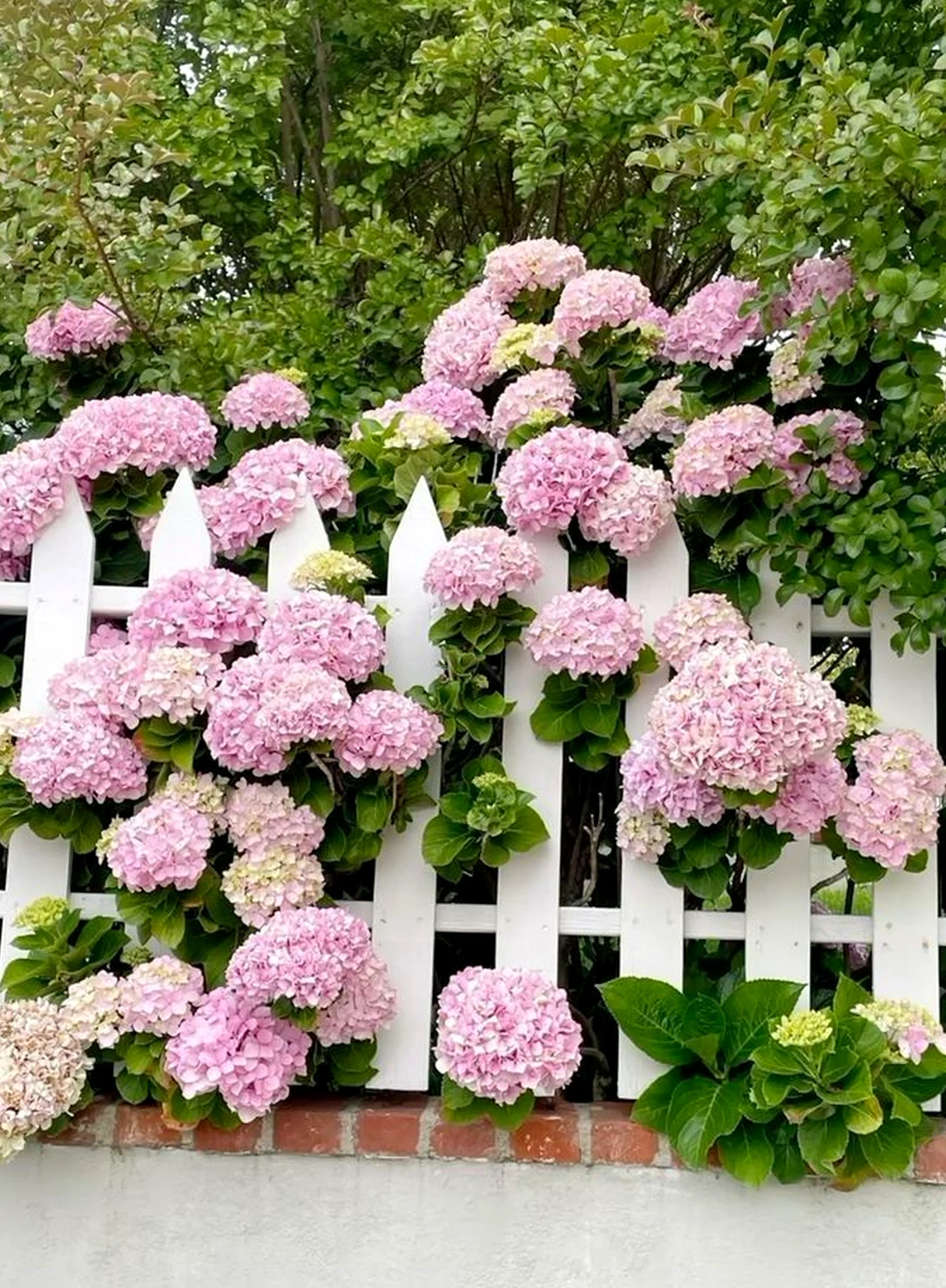 Layered flower arrangement gives the table more shape, so the whole view feels easy to enjoy.